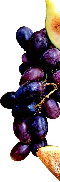 deco